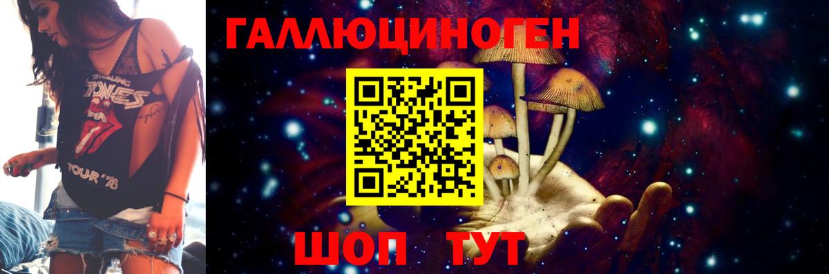 Галлюциногенные грибы мухоморы Минусинск